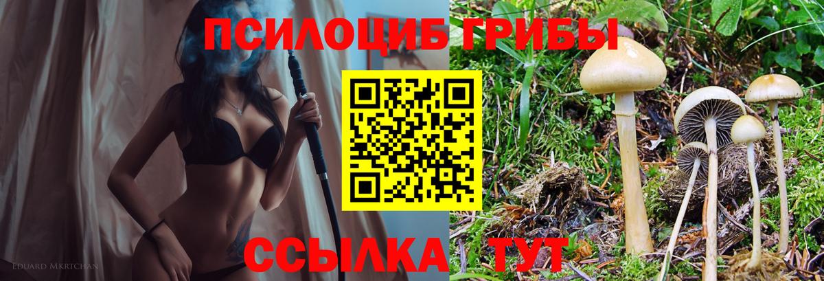 Псилоцибиновые грибы GOLDEN TEACHER Тольятти