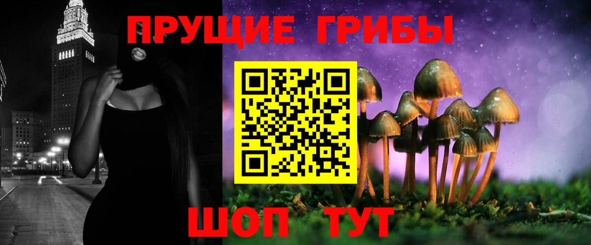 Галлюциногенные грибы GOLDEN TEACHER  Вход с VPN  Тольятти  Галлюциногенные грибы Magic Shrooms 